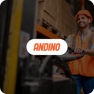 Andino